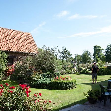 De Vitsemolenhoeve Westouter Ruang foto